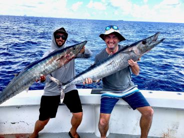 Dania Beach Report Photo 1