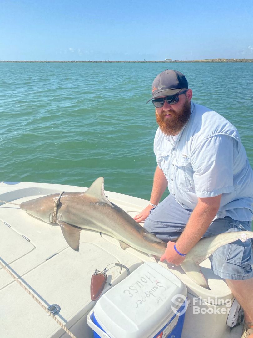 South Padre Island Report Photo 0