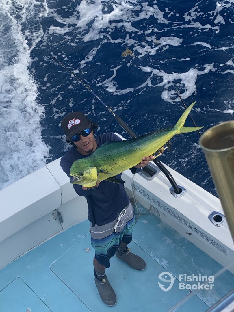 Boynton Beach Report Photo 0