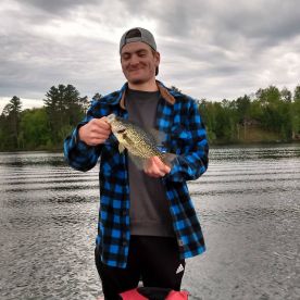 crank bait Crappie