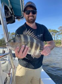 Hungry Sheepshead!!