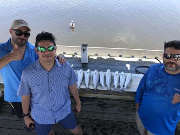 Trout bite is on