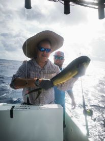 Playa Del Carmen Report Photo 2