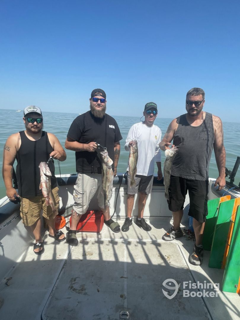 Oak Harbor Report Photo 0