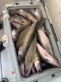 Oak Harbor Report Photo 3