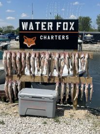 Oak Harbor Report Photo 1