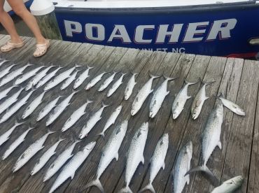 Fishing is going off!!