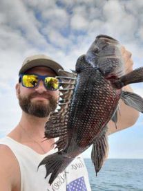 Sea bass bite