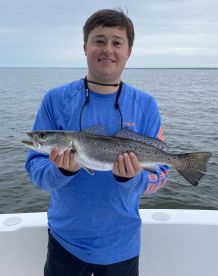 Fairhope Report Photo 4