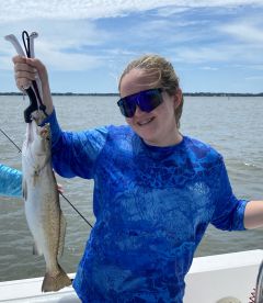 Fairhope Report Photo 1