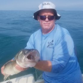 Blackh2oDog Charters Walleye Lake Erie