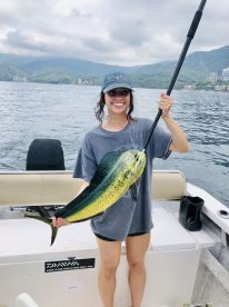 Puerto Vallarta Report Photo 2