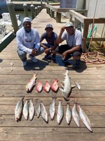 Mixed Bag!