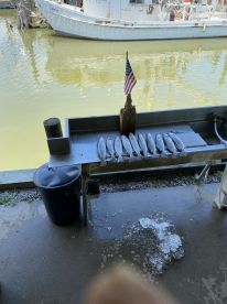 Galveston Report Photo 1