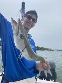 Quintana Roo Report Photo 1