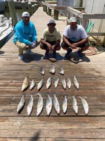 3 Man LIMIT of trout + more