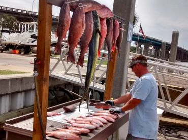 Destin Report Photo 2