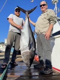 More trophy bluefin