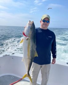 Local yellow action is picking up!