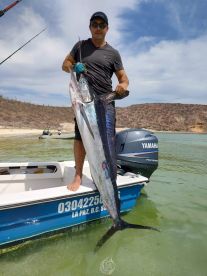 La Paz Report Photo 2