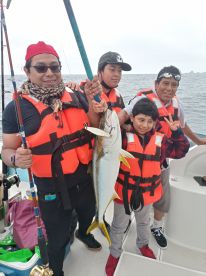 Baja California Report Photo 2