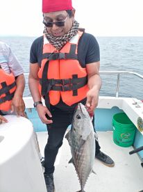 Baja California Report Photo 1