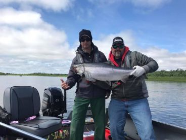 Sunshine and big brite chinook salmon