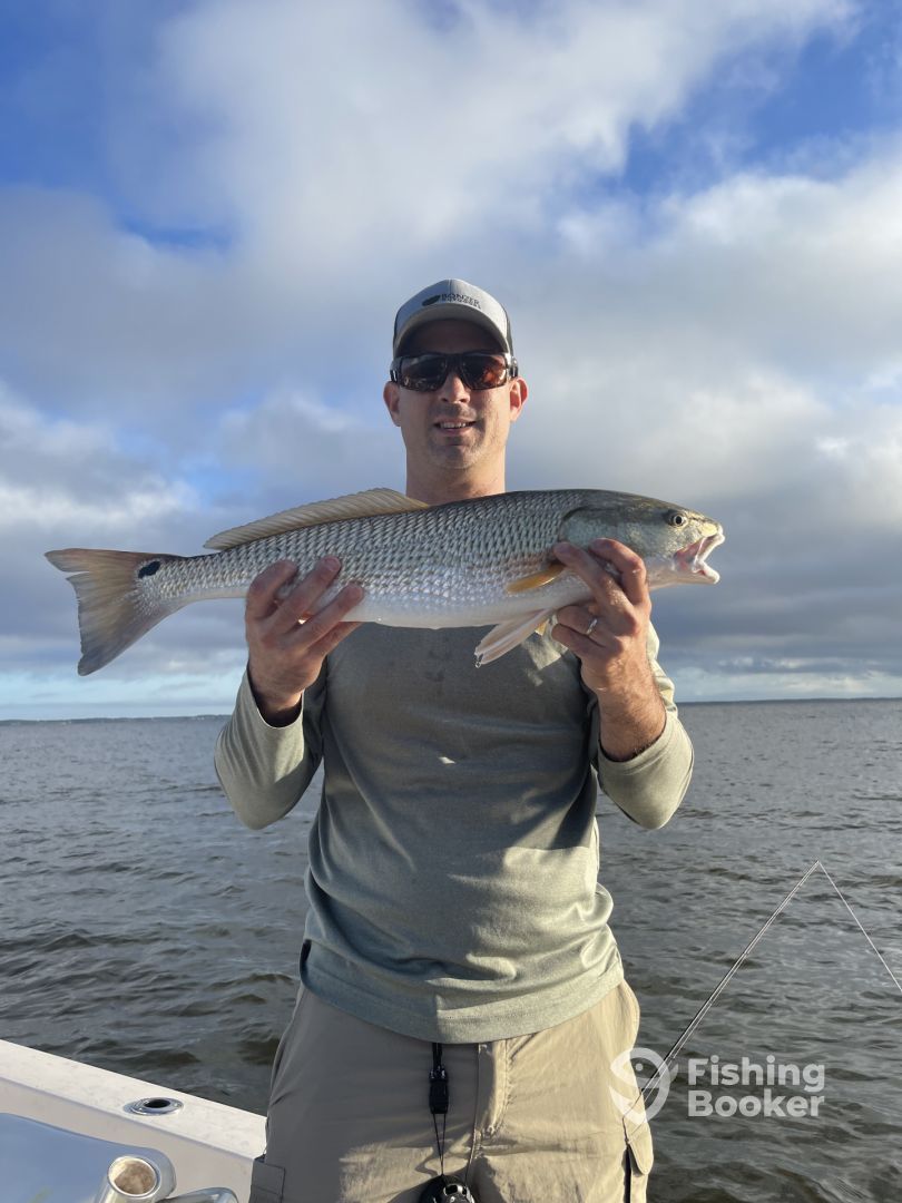 New Bern Report Photo 0
