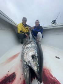 Big Bluefin Continues!