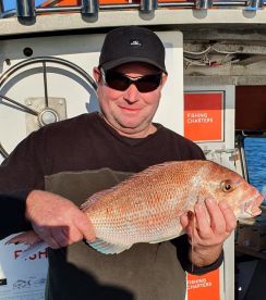 Snapper June 2021 Bay of Islands