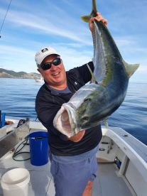 FAT FISH AROUND
