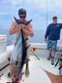 Blue fin alert !