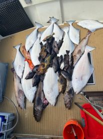 Homer Report Photo 1