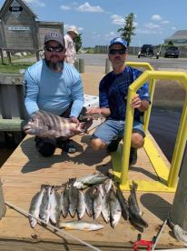 Citation sheepshead!