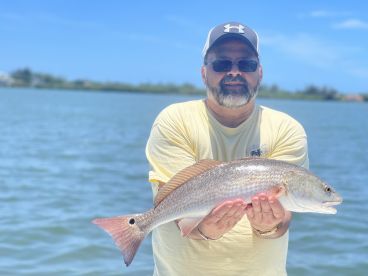 Sarasota Report Photo 2