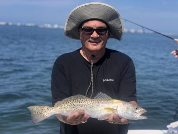 Trout Galore!