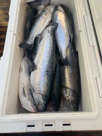 Frenzy fishing