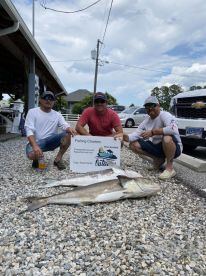 Poquoson Report Photo 1