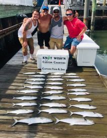 Rudee Inlet Report Photo 2