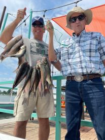 Grapevine Report Photo 1
