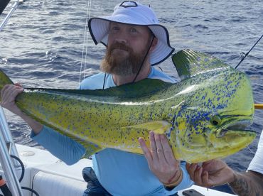 Dolphin are thick! Along with sailfish.