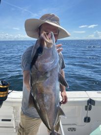 Pensacola Report Photo 2