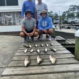Todays fishing