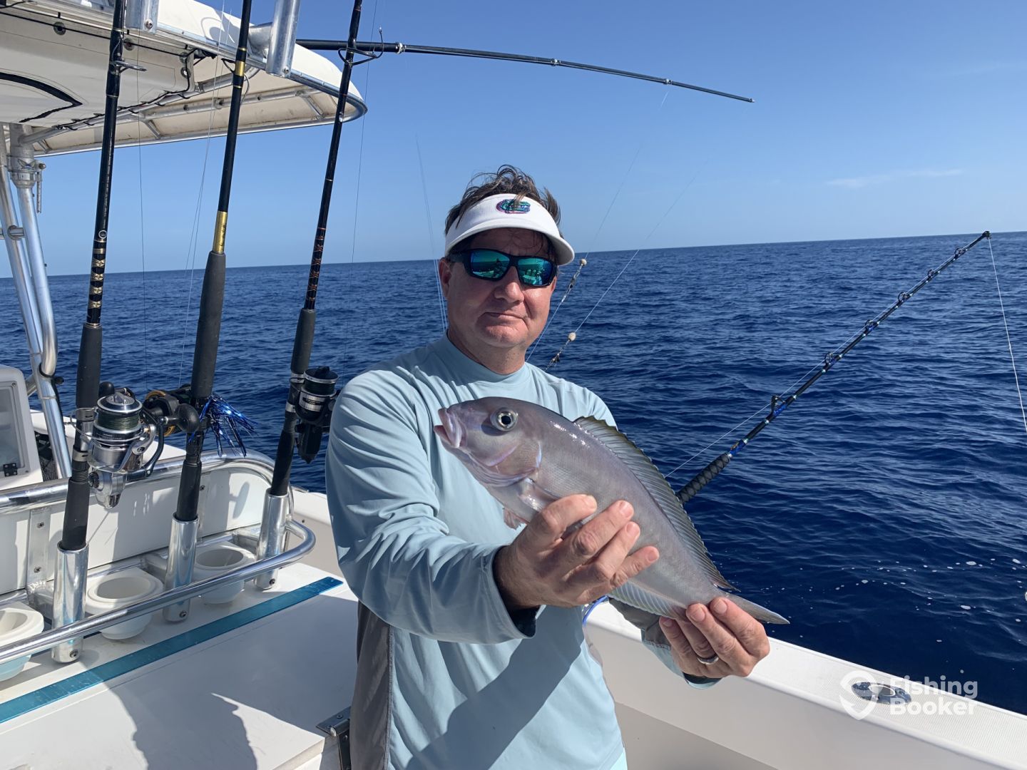 Blueline Tilefish