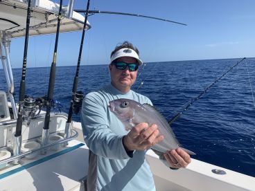 Blueline Tilefish