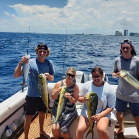 Mahi action