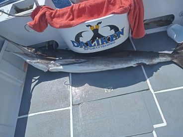 Baja California Sur Report Photo 1