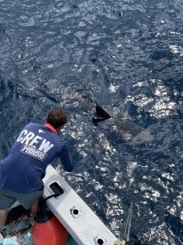 Boynton Beach Report Photo 2