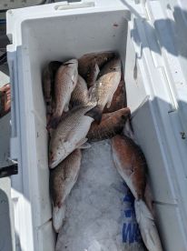 Got it done