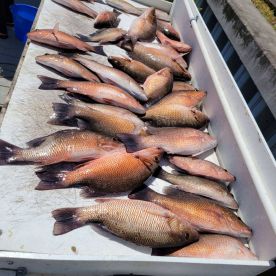 6 person limit quick today.
